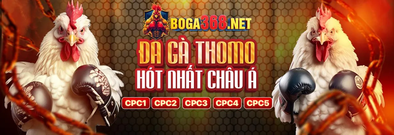 Đá gà trực tuyến b29club link vào